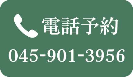 電話ボタン